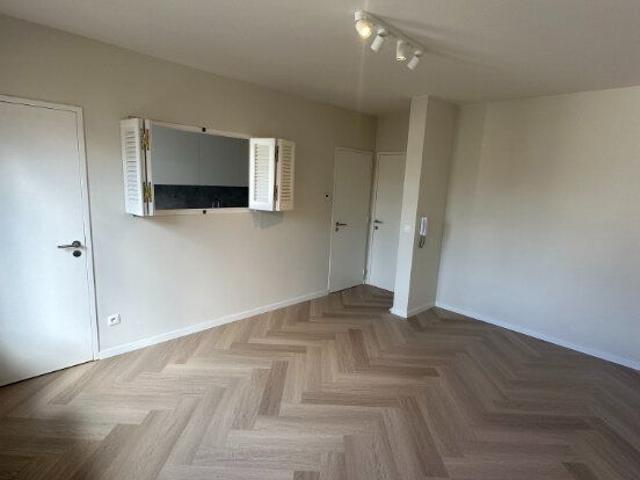 Kot location à Antwerpen