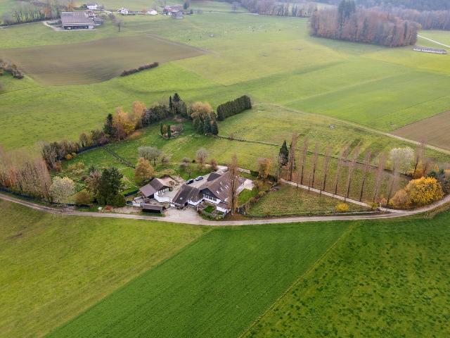Landwirtschaft kaufen in Rue, Freiburg