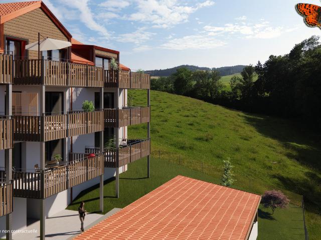 Wohnung kaufen in Vaulruz, Freiburg