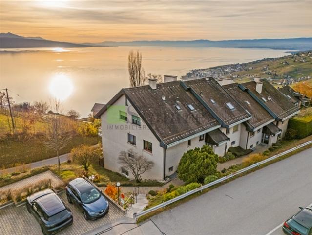 Wohnung kaufen in Puidoux, Waadt
