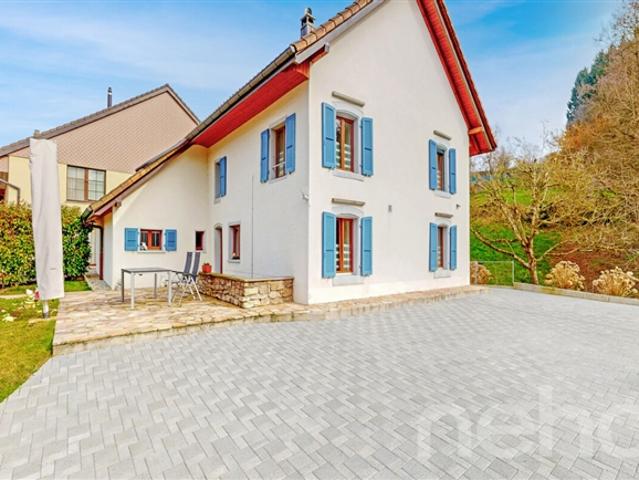 Einfamilienhaus kaufen in Châtillon (FR), Freiburg
