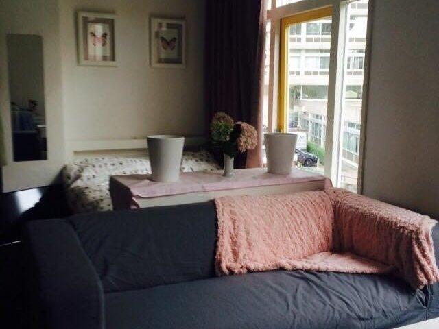 Kamer te huur in Vosseparkwijk, Leeuwarden