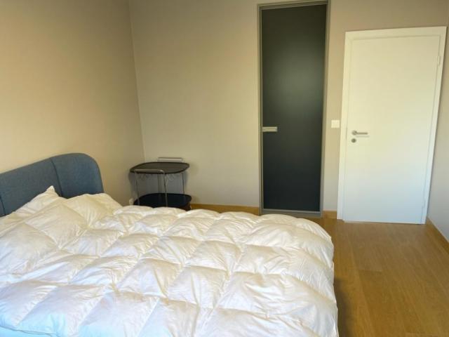 Wohnung mieten in Le Petit-Saconnex, Genève