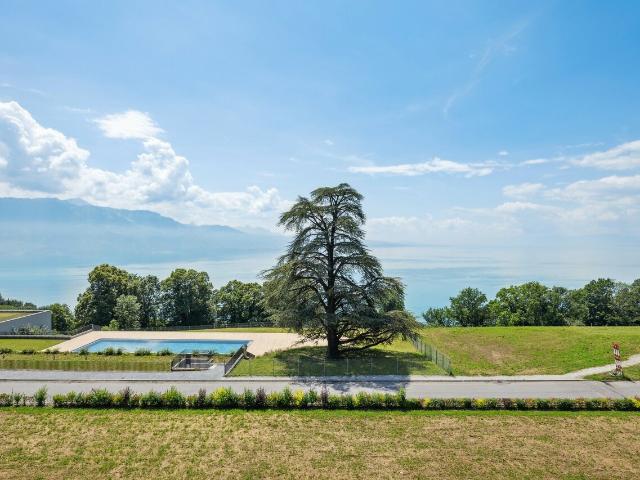 Wohnung kaufen in Puidoux, Waadt
