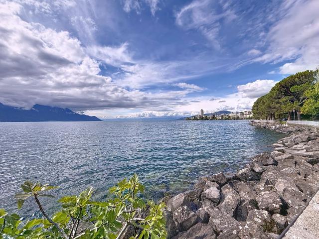 Wohnung kaufen in Chailly-Montreux, Waadt
