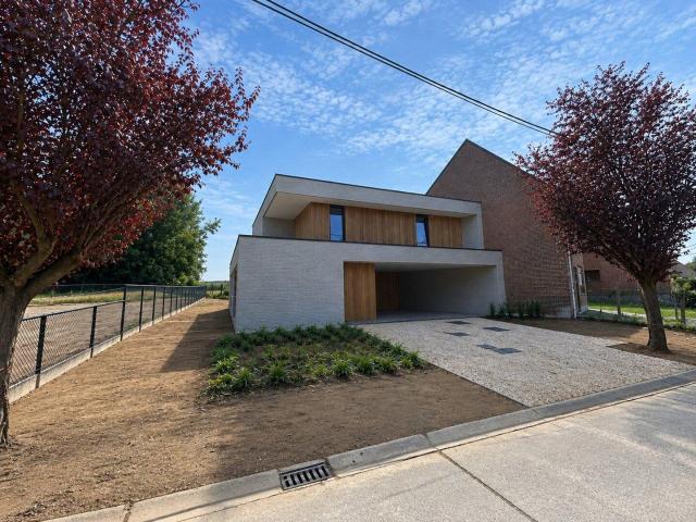 Maison location à Gijzenzele, Oost-Vlaanderen