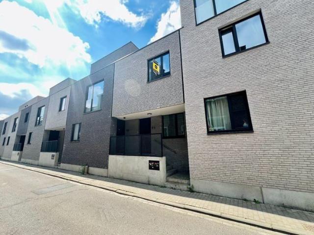 Maison location à Tienen, Brabant