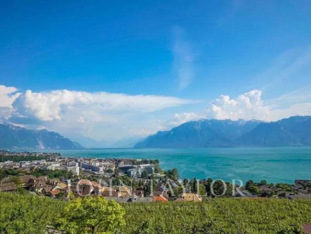 Haus kaufen in Corseaux, Waadt