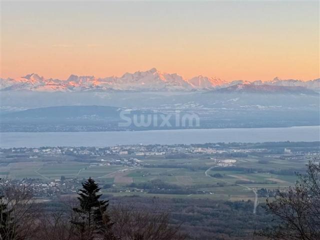 Einfamilienhaus kaufen in Essertines-sur-Rolle, Waadt
