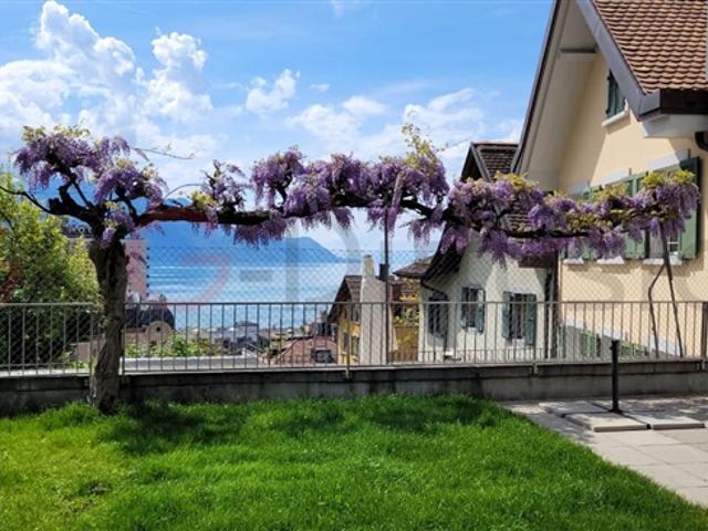 Wohnung kaufen in Chailly-Montreux, Waadt