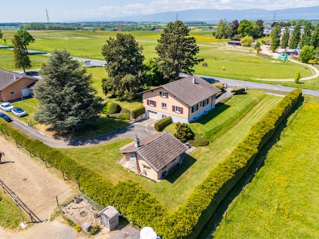 Reihenfamilienhaus kaufen in Echallens, Waadt