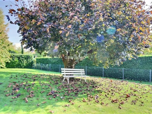 Einfamilienhaus kaufen in Chéserex, Waadt