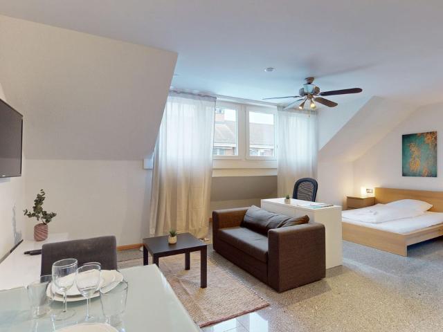 Apartment mieten in Basel, Basel-Stadt