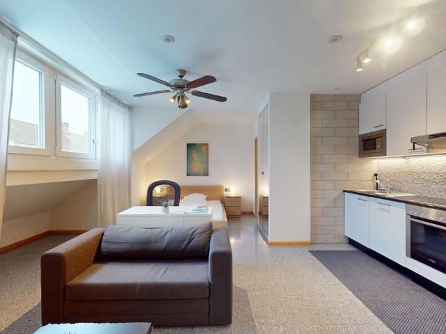 Apartment mieten in Basel, Basel-Stadt