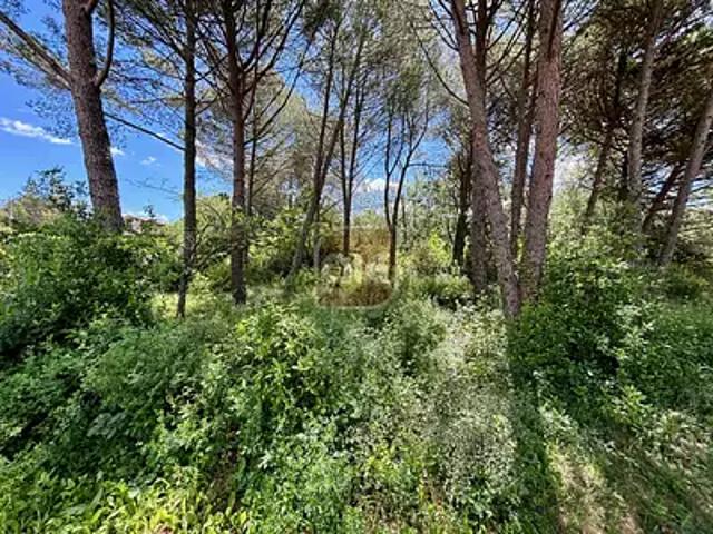 Terrain vente à Montpellier, Prades-le-lez