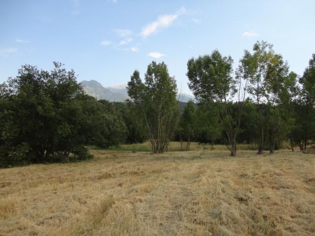 Terrain vente à Prades