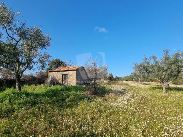 Quinta venda em Castelo Branco, Penamacor