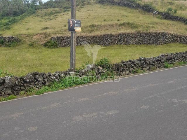 Terreno venda em Pombal, Leiria