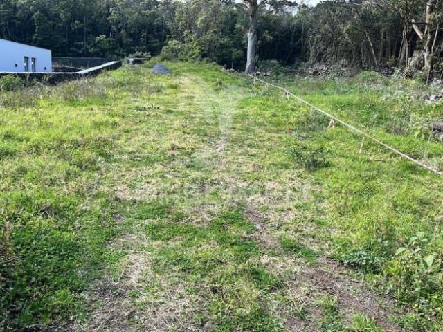 Terreno venda em Pombal, Leiria