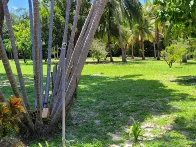 Fazenda venda em Região Geográfica Imediata de São Luís, São José de Ribamar