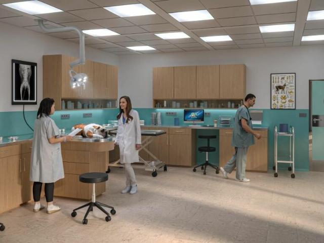 Atelier mieten in Marly, Freiburg