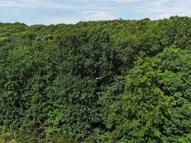 Land for sale in Louisiana