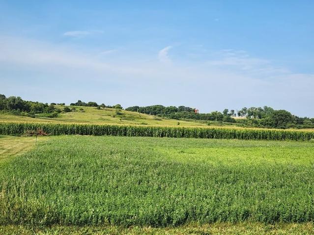 Land for sale in Rockford, Iowa