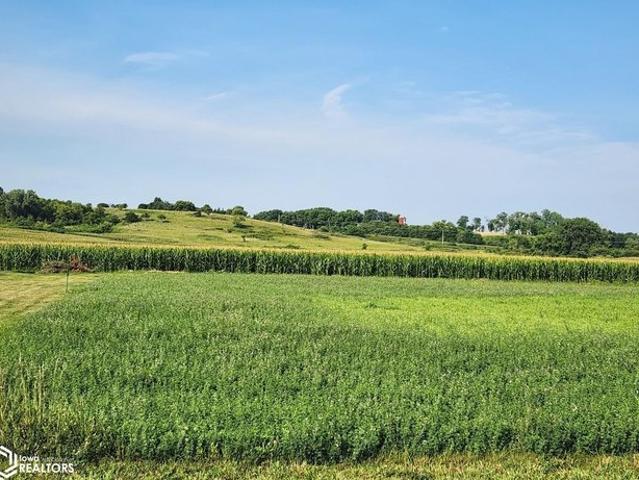Land for sale in Rockford, Iowa