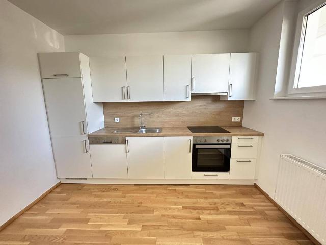 Apartment mieten in Katastralgemeinde Lend, Graz