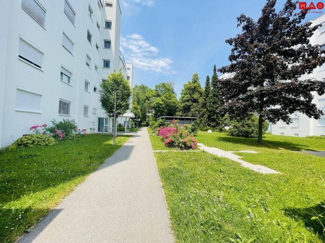 Apartment mieten in Bindermichl-Keferfeld, Linz