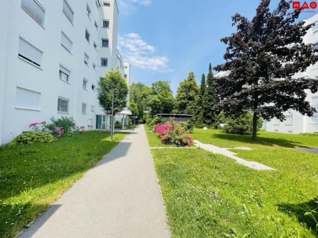 Wohnung kaufen in Bindermichl-Keferfeld, Linz