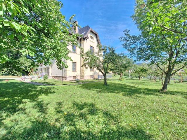 Apartment mieten in Katastralgemeinde Gainfarn, Bad Vöslau