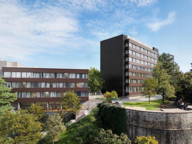 Immobilie mieten in Basel, Basel-Stadt