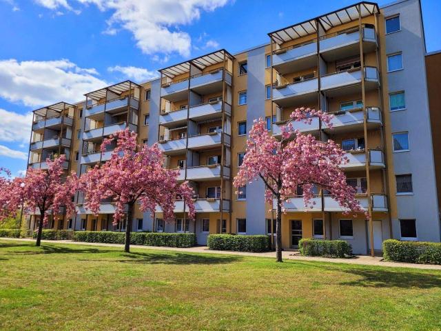 Apartment mieten in Frankfurt (Oder), Brandenburg