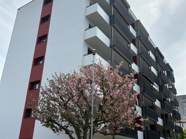 Atelier mieten in Pratteln, Basel-Landschaft