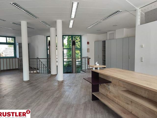 Immobilie mieten in Mauerbach, Niederösterreich