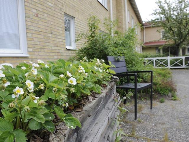 Lägenhet hyra i Lövånger, Västerbotten