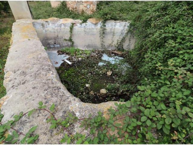 Local Comercial en venta en Alcanar, Tarragona