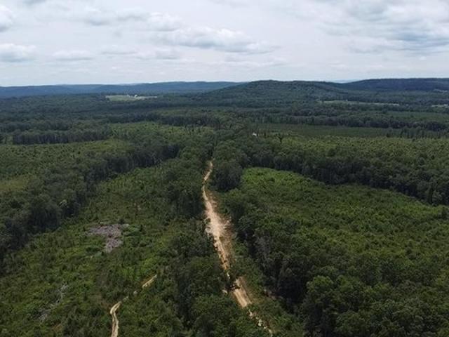Land for sale in Tennessee