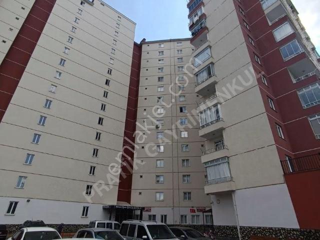 Melikgazi, Kayseri içerisinde kiralık mülk