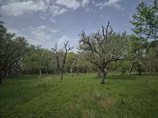 Terrain vente à Sarlat-la-Canéda, Prats-de-carlux