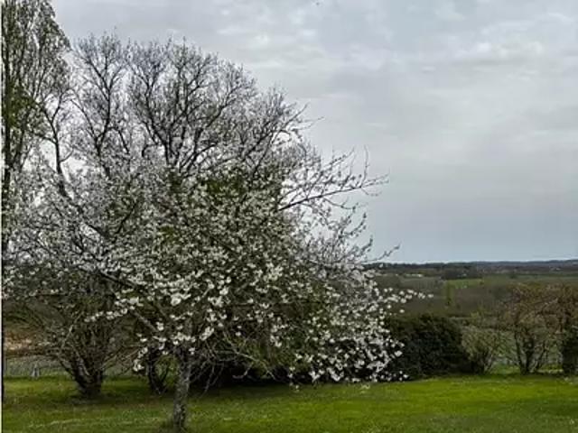 Terrain vente à Sarlat-la-Canéda, Prats-de-carlux