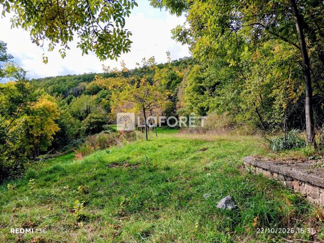 Maison vente à Céret, Prats-de-mollo-la-preste