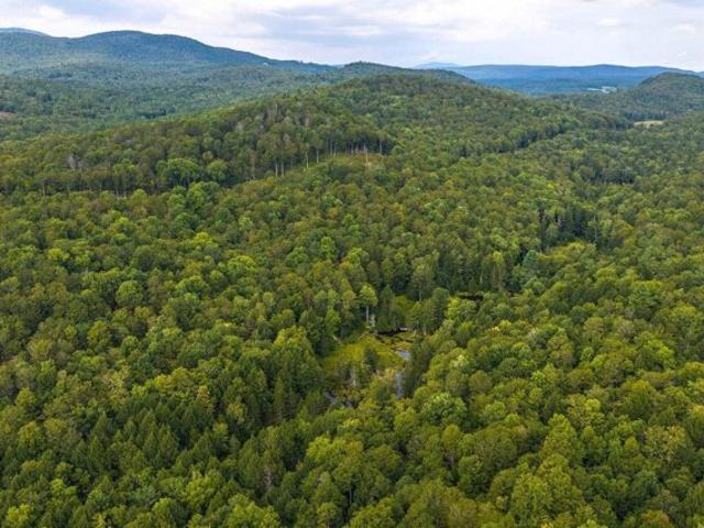 Land for sale in Chester, Windsor County