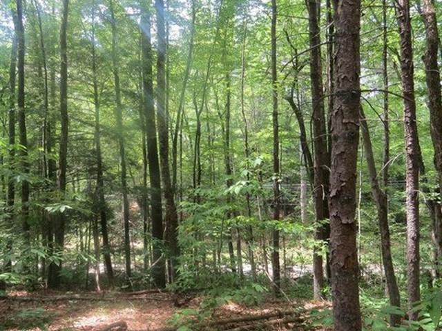 Land for sale in Leverett, Massachusetts