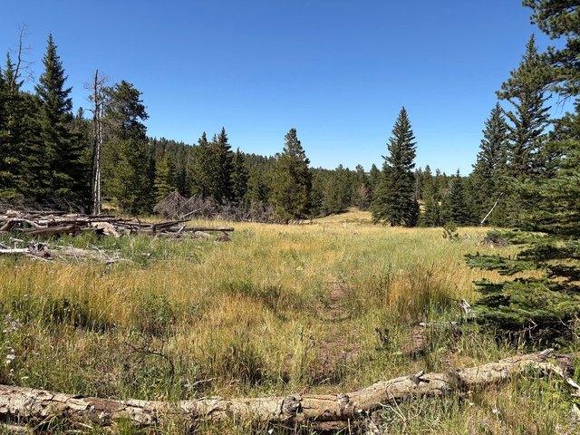 Land for sale in Colorado