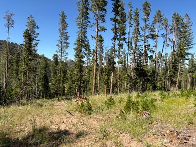 Land for sale in Livermore, Colorado