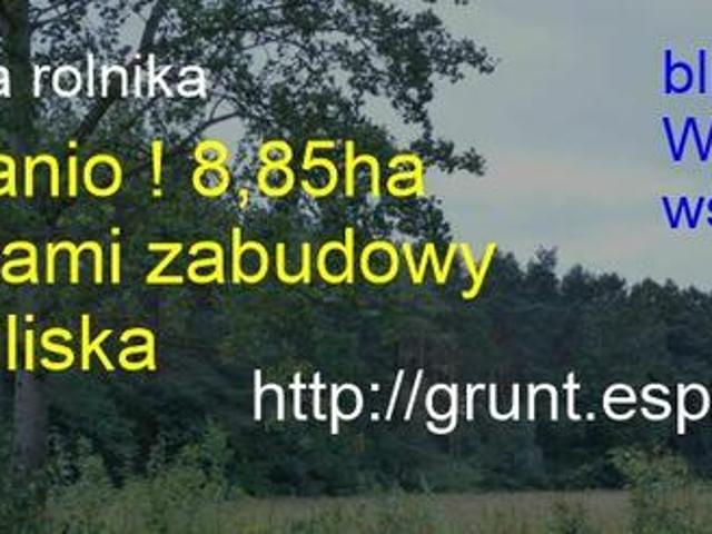 Grunt na sprzedaż w Tłuchowo, Kujawsko-pomorskie
