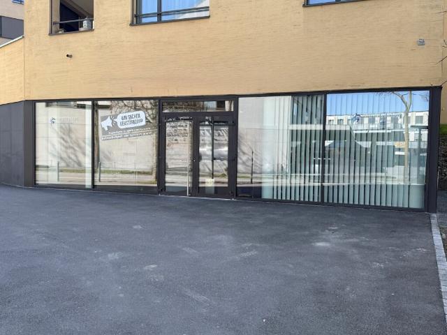 Immobilie mieten in Villmergen, Aargau