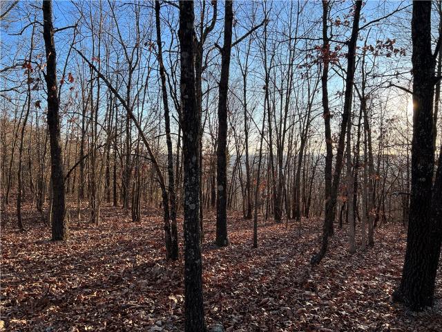 Land for sale in Ark